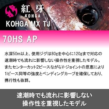Amazon | ダイワ(DAIWA) タイジギングロッド 紅牙MX TJ 70HS AP
